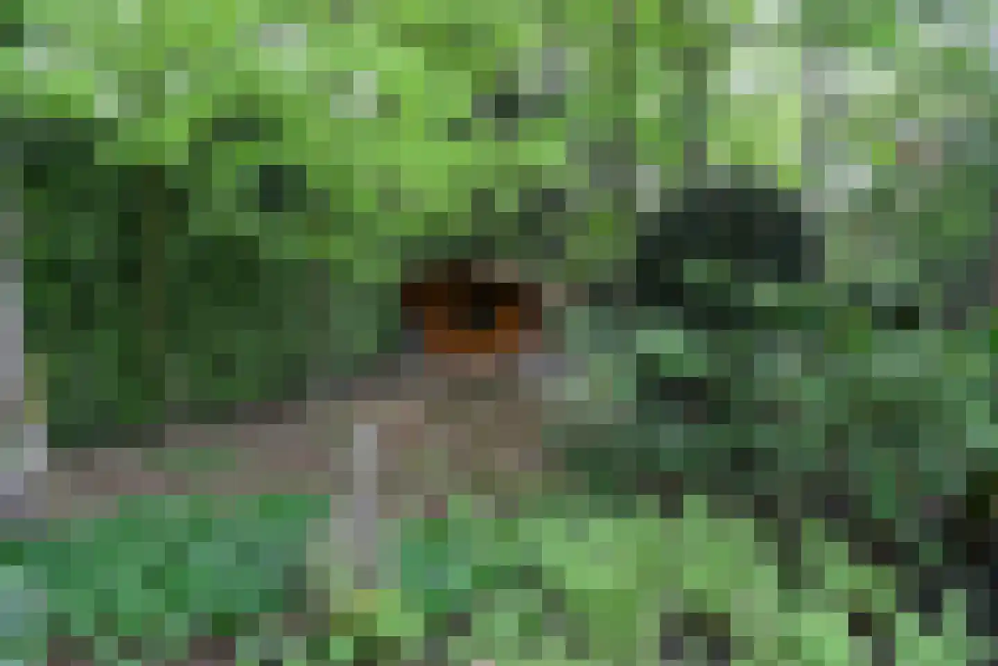 Oude Woudenbergse Zandweg 4 Zeist thumbnail 11