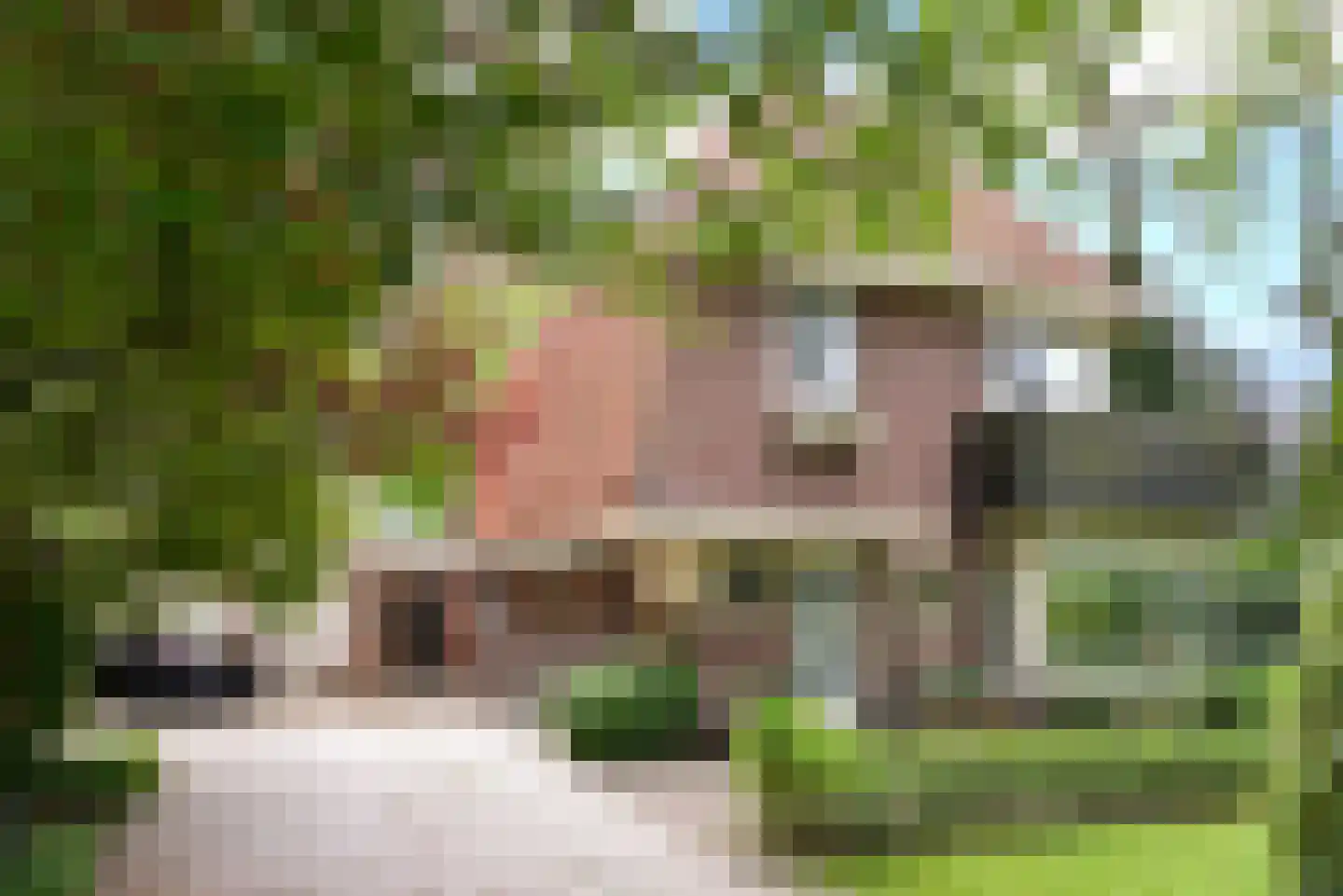 Oude Woudenbergse Zandweg 4 Zeist foto 2