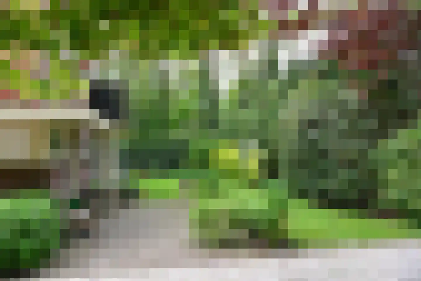 Oude Woudenbergse Zandweg 4 Zeist thumbnail 4