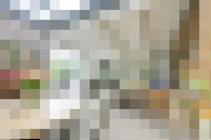 Oude Woudenbergseweg 1 Doorn thumbnail 10