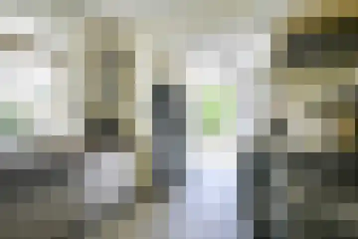 Oude Woudenbergseweg 1 Doorn thumbnail 15