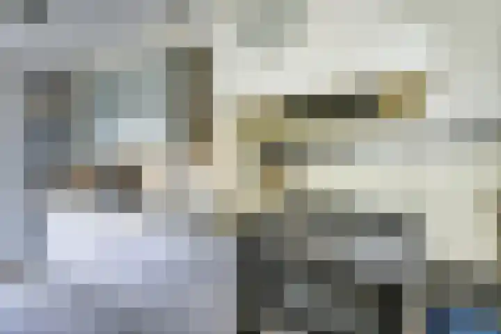 Oude Woudenbergseweg 1 Doorn thumbnail 17