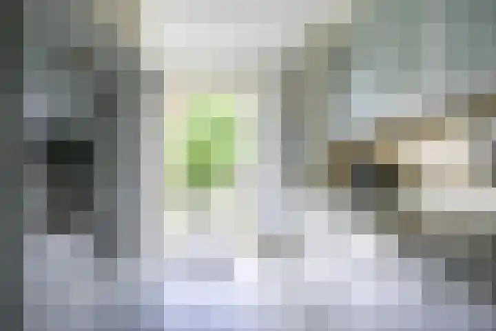 Oude Woudenbergseweg 1 Doorn thumbnail 18