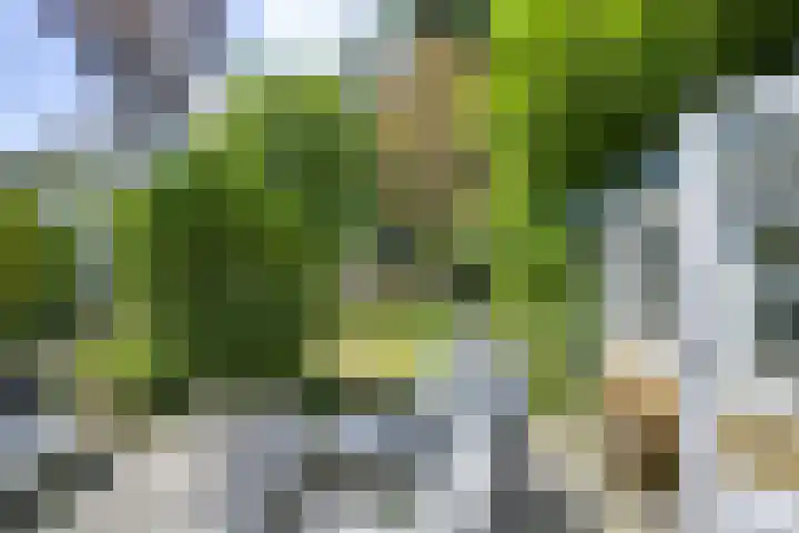 Oude Woudenbergseweg 1 Doorn thumbnail 19