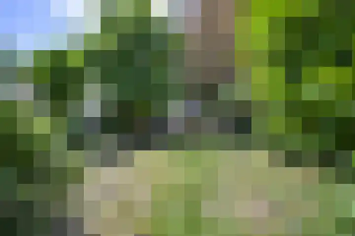 Oude Woudenbergseweg 1 Doorn thumbnail 20