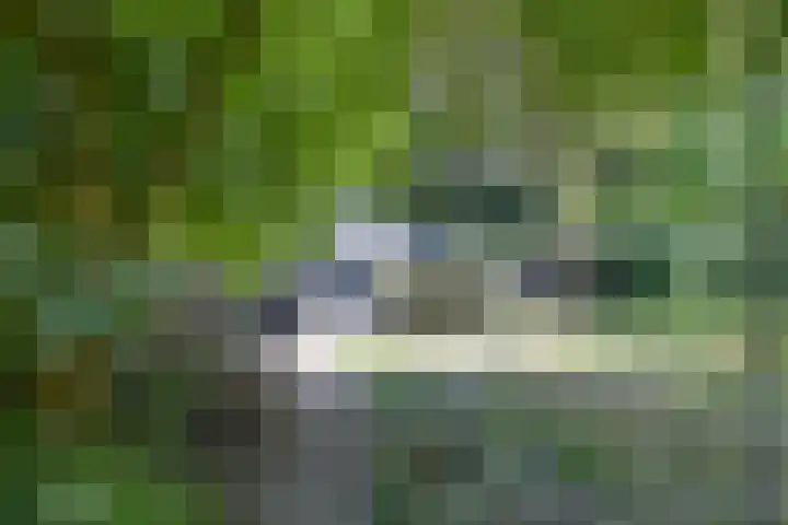 Oude Woudenbergseweg 1 Doorn thumbnail 21