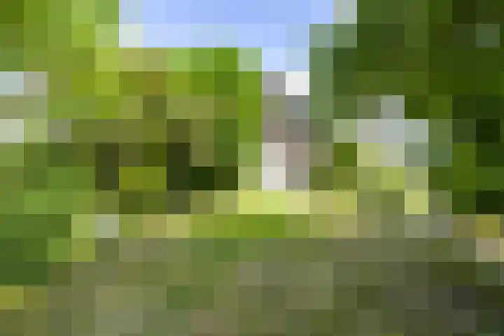 Oude Woudenbergseweg 1 Doorn thumbnail 22