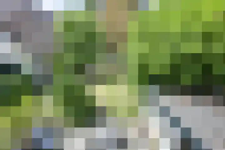 Oude Woudenbergseweg 1 Doorn thumbnail 30