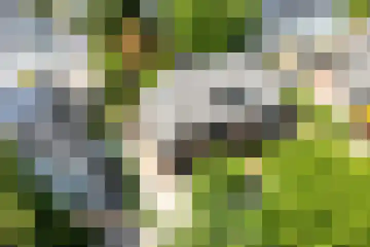 Oude Woudenbergseweg 1 Doorn thumbnail 45