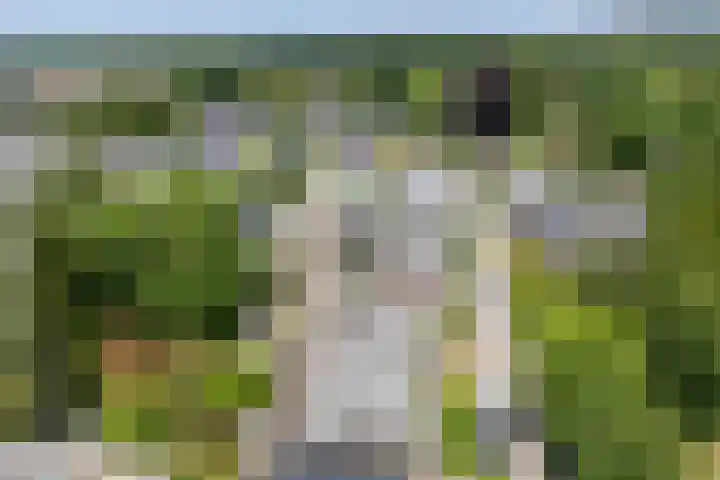 Oude Woudenbergseweg 1 Doorn thumbnail 46