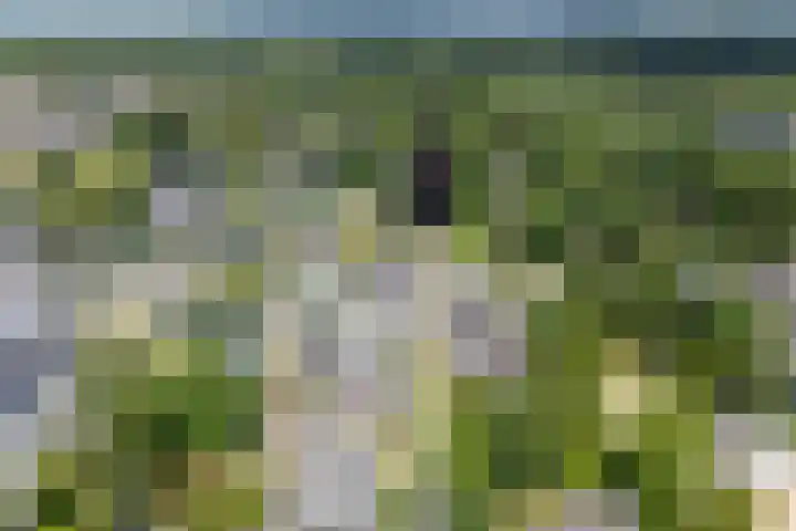 Oude Woudenbergseweg 1 Doorn thumbnail 47