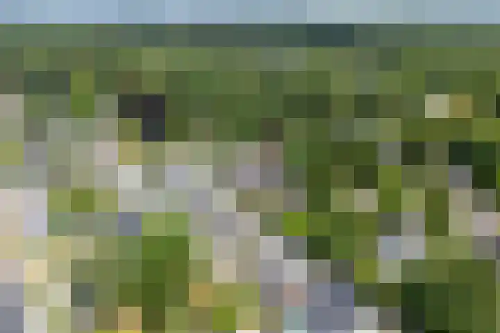 Oude Woudenbergseweg 1 Doorn thumbnail 48