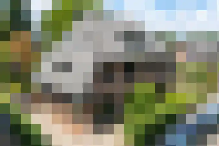 Oude Woudenbergseweg 1 Doorn thumbnail 49