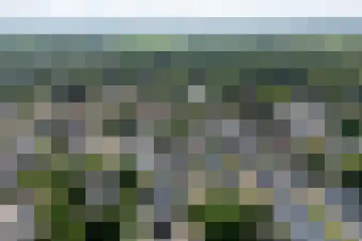 Oude Woudenbergseweg 1 Doorn thumbnail 50