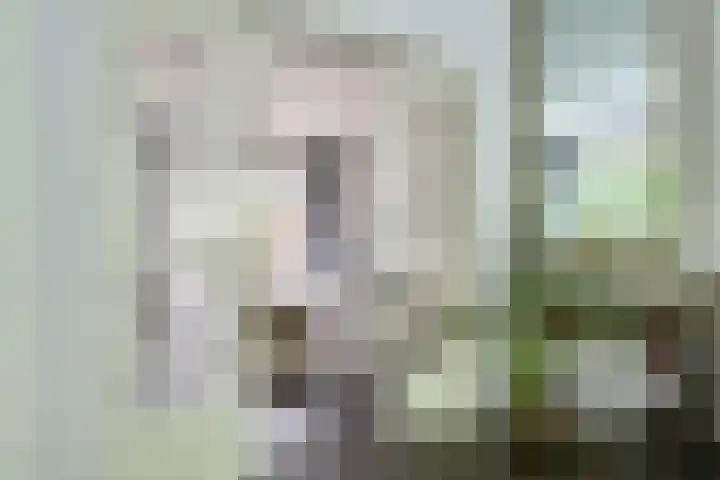Oude Woudenbergseweg 1 Doorn thumbnail 6