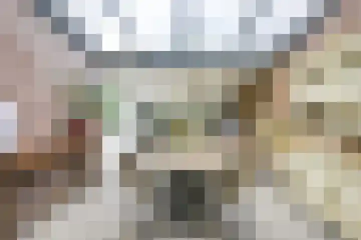 Oude Woudenbergseweg 1 Doorn thumbnail 9