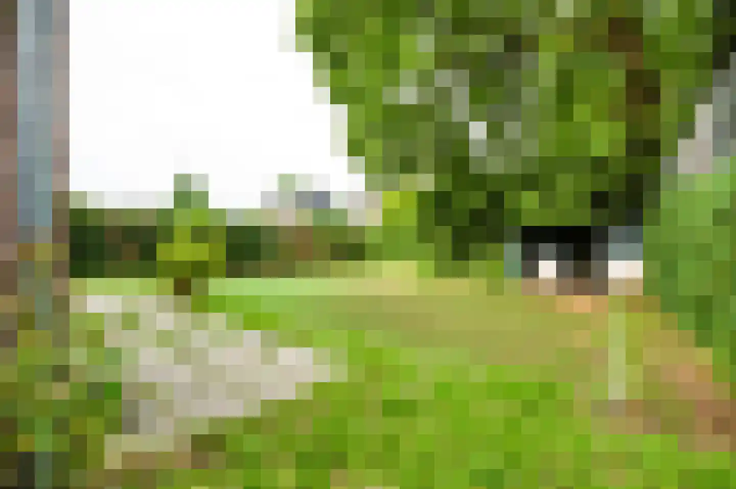 Oude Woudenbergseweg 17 Doorn thumbnail 22