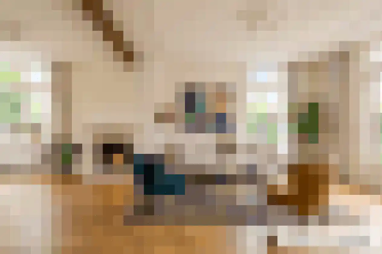 Oude Woudenbergseweg 17 Doorn thumbnail 9
