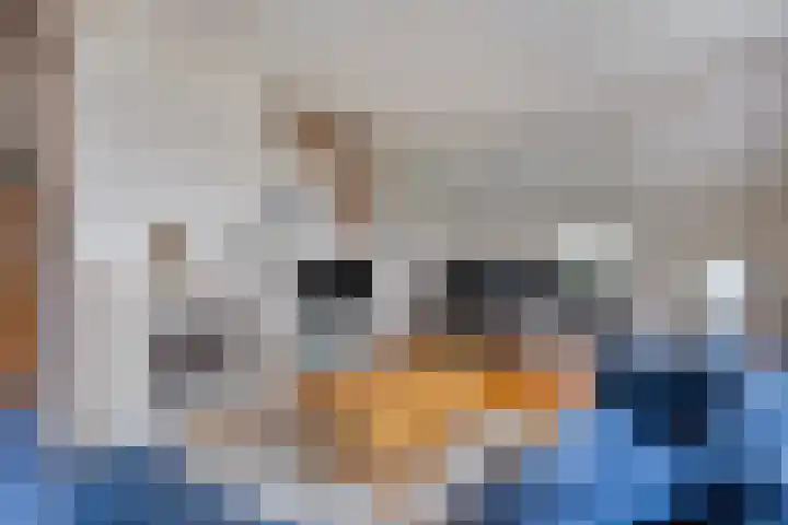 Oude Wythemerweg 8 Zwolle thumbnail 13