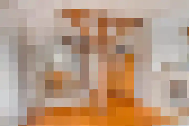 Oude Wythemerweg 8 Zwolle thumbnail 16