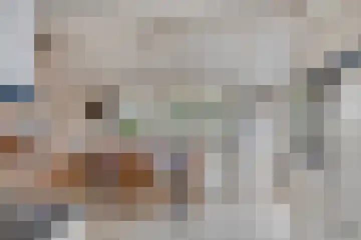 Oude Wythemerweg 8 Zwolle thumbnail 20