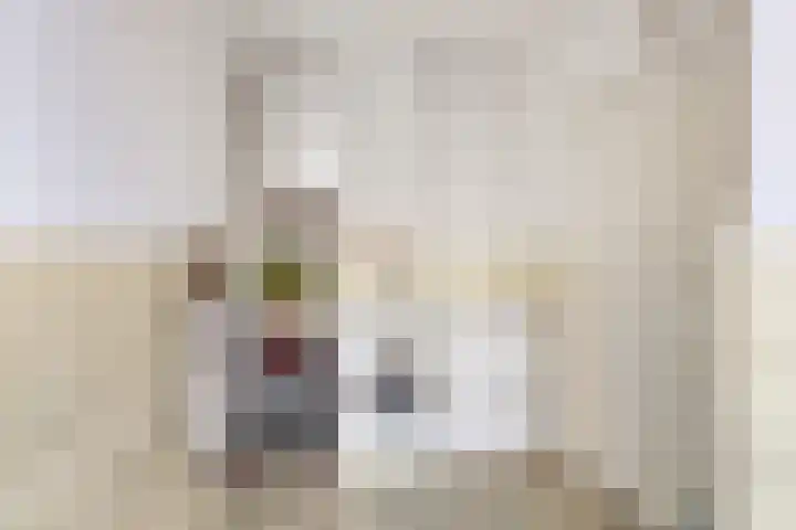 Oude Wythemerweg 8 Zwolle thumbnail 21