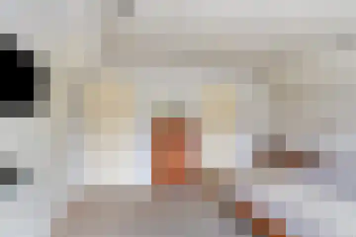 Oude Wythemerweg 8 Zwolle thumbnail 25