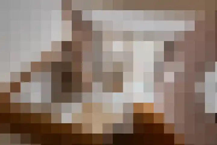 Oude Wythemerweg 8 Zwolle thumbnail 28