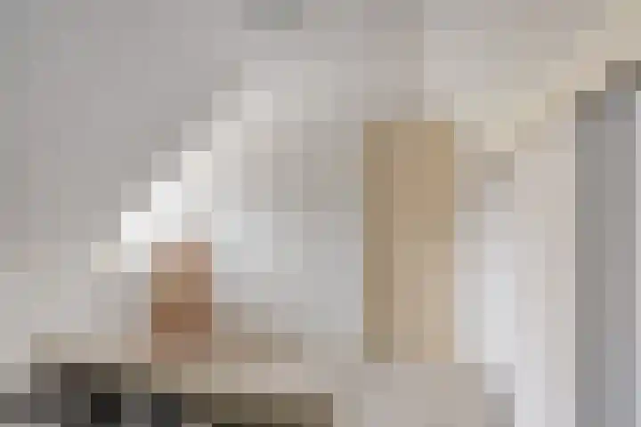 Oude Wythemerweg 8 Zwolle thumbnail 31