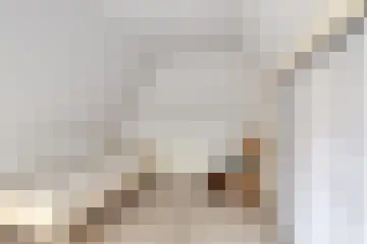 Oude Wythemerweg 8 Zwolle thumbnail 32