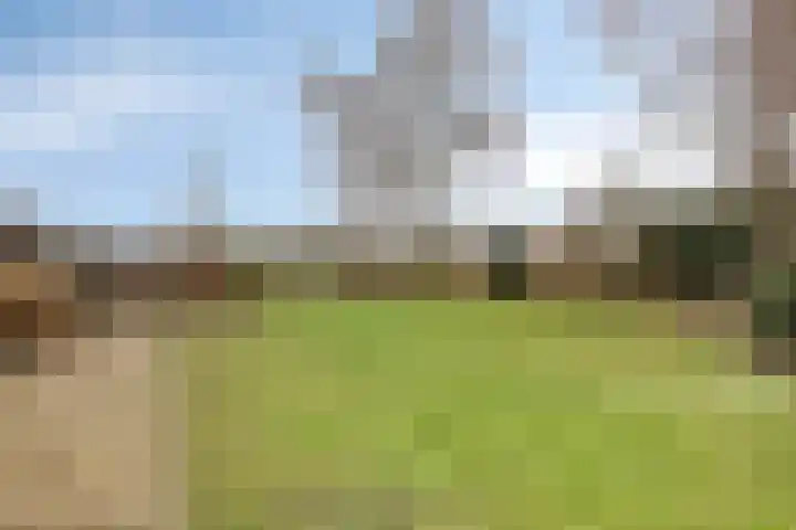Oude Wythemerweg 8 Zwolle thumbnail 36