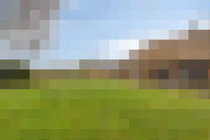 Oude Wythemerweg 8 Zwolle thumbnail 37