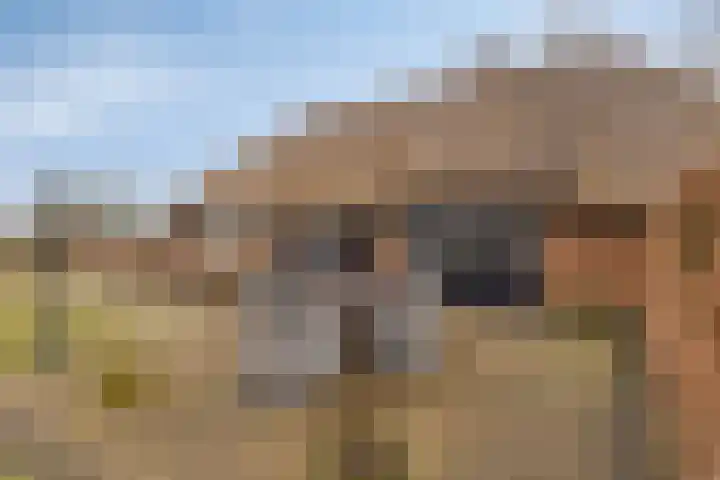 Oude Wythemerweg 8 Zwolle thumbnail 39
