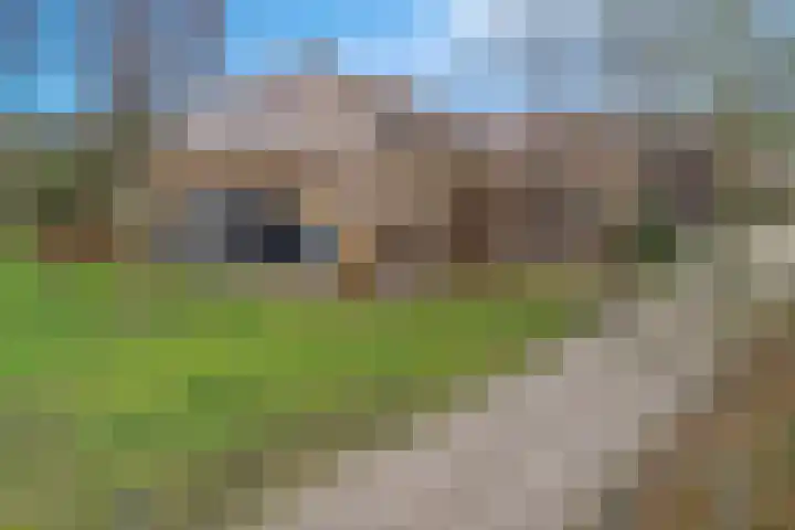 Oude Wythemerweg 8 Zwolle thumbnail 40