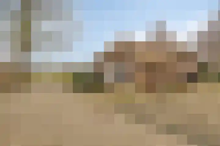 Oude Wythemerweg 8 Zwolle thumbnail 41