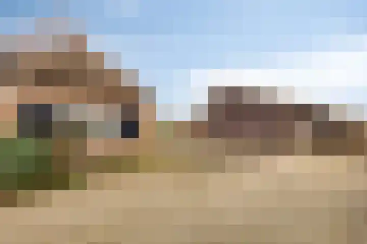 Oude Wythemerweg 8 Zwolle thumbnail 42