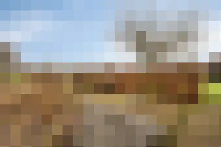 Oude Wythemerweg 8 Zwolle thumbnail 44