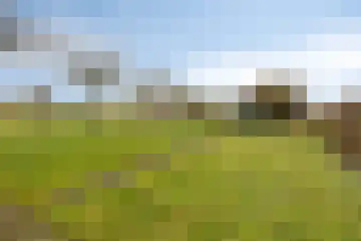 Oude Wythemerweg 8 Zwolle thumbnail 45