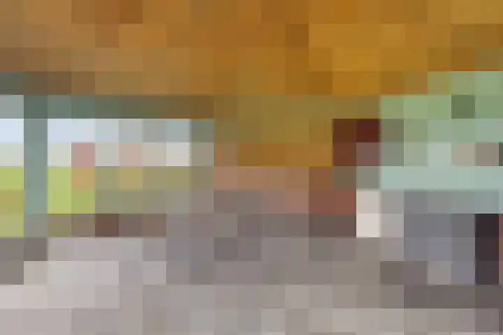Oude Wythemerweg 8 Zwolle thumbnail 47