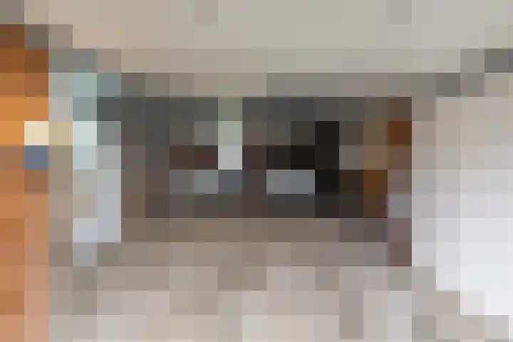 Oude Wythemerweg 8 Zwolle thumbnail 49
