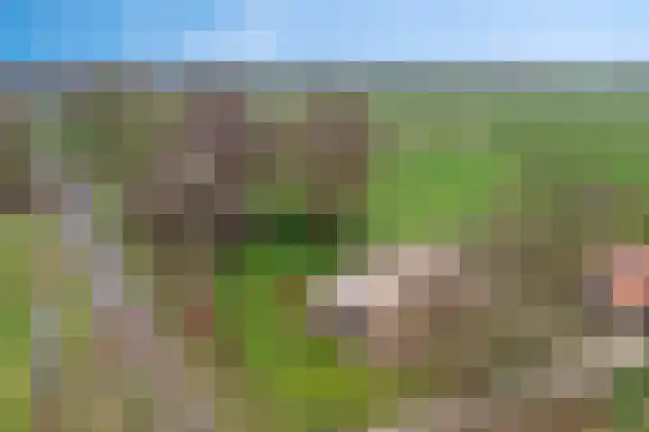 Oude Wythemerweg 8 Zwolle thumbnail 5