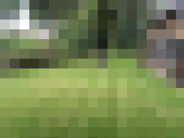 Oude Wythemerweg 8 Zwolle thumbnail 50