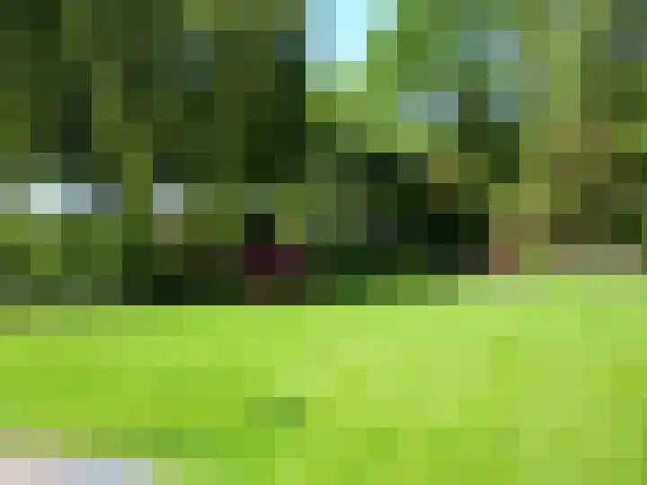 Oude Wythemerweg 8 Zwolle thumbnail 51