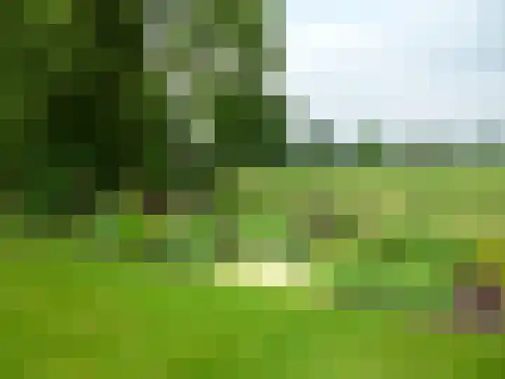 Oude Wythemerweg 8 Zwolle thumbnail 52