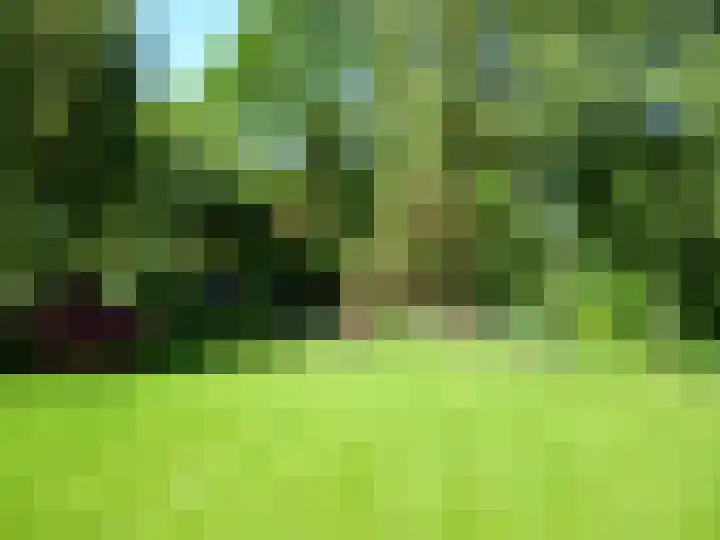 Oude Wythemerweg 8 Zwolle thumbnail 53