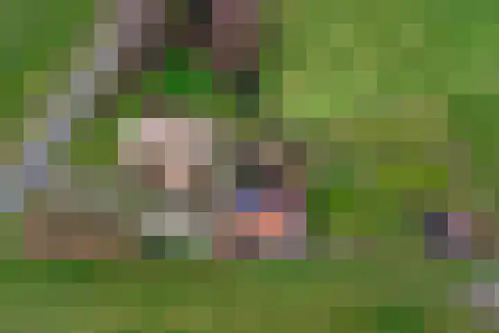 Oude Wythemerweg 8 Zwolle thumbnail 54