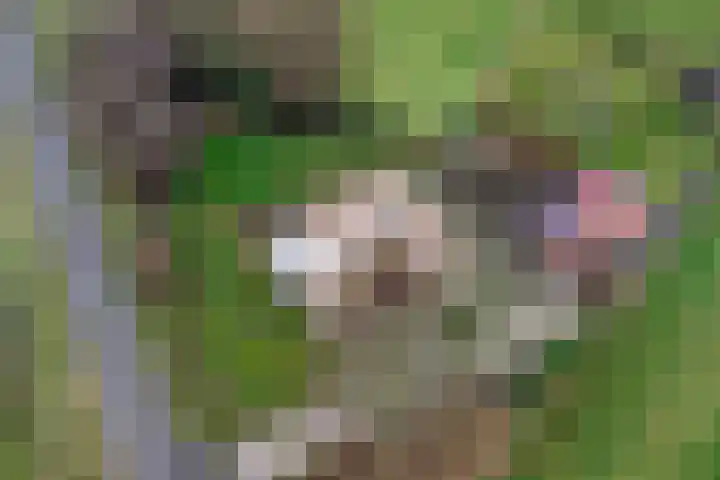 Oude Wythemerweg 8 Zwolle thumbnail 55