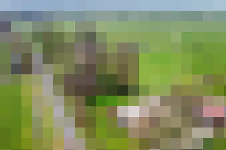 Oude Wythemerweg 8 Zwolle thumbnail 56