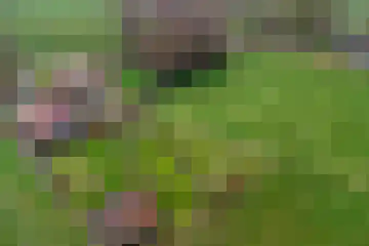 Oude Wythemerweg 8 Zwolle thumbnail 57