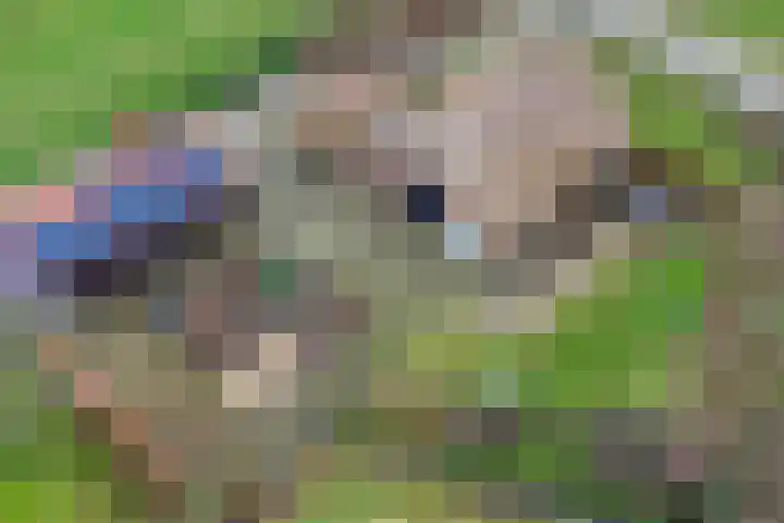 Oude Wythemerweg 8 Zwolle thumbnail 58